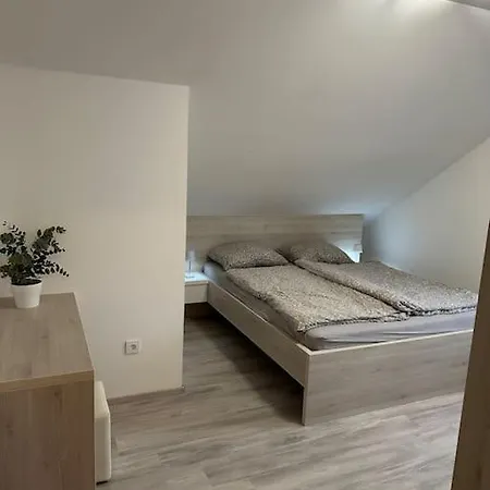 Prostorno In Prijetno Stanovanje Lejlighed *